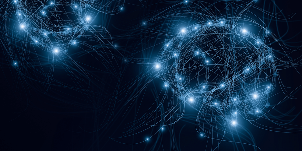 The Ecosystem Impact Summit